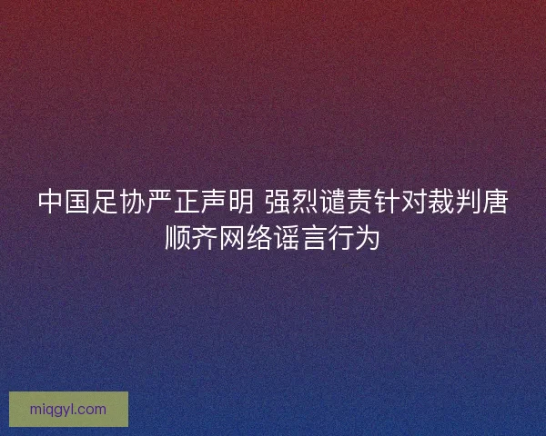 中国足协严正声明 强烈谴责针对裁判唐顺齐网络谣言行为
