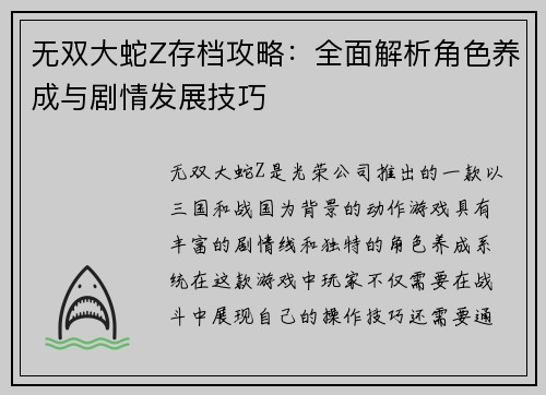 无双大蛇Z存档攻略：全面解析角色养成与剧情发展技巧